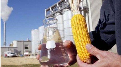 Com apoio do Governo do Estado, Jaraguari terá primeira indústria de etanol de milho de MS