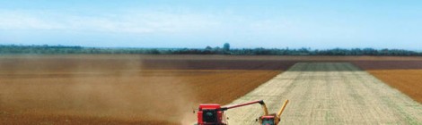 Armazéns seguem lotados de grãos no Paraná