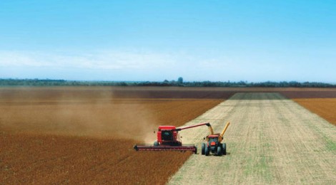 Rumo prevê crescimento de volumes agrícolas em 2017
