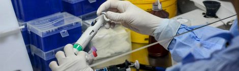 Petrobras já realizou mais de 6 mil testes para coronavírus