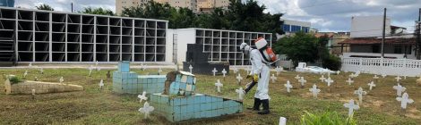 Covid-19: Brasil registra mais 2.233 mortes e 75.412 novos infectados