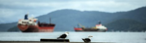 Porto de Paranaguá atinge marca de 99,29% em avaliação ambiental