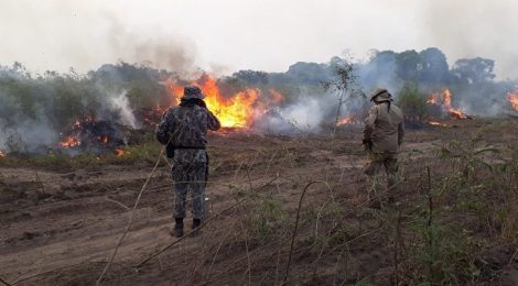 Governo envia 71 bombeiros militares para combate aos incêndios no Mato Grosso do Sul