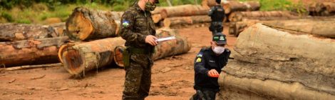 Operação Verde Brasil 2: militares reforçam ações de combate aos crimes ambientais