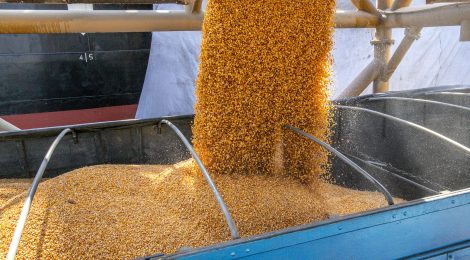 Porto de Paranaguá começa a receber milho de importação