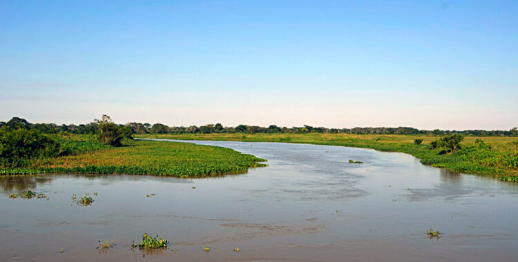 IPT traz inovação e serviços para o Amazonas