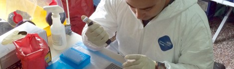 Ministério da Saúde descarta possibilidade de ebola em paciente atendido no Porto de Vitória (ES)