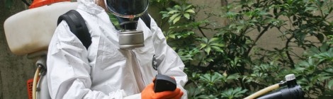 Brasil tem 745,9 mil casos de dengue até 18 de abril, segundo ministério