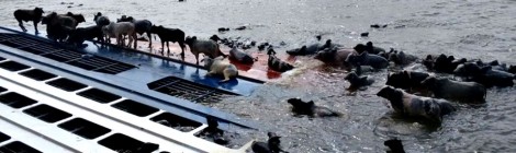 Negligência causou naufrágio que matou 19 na Bahia