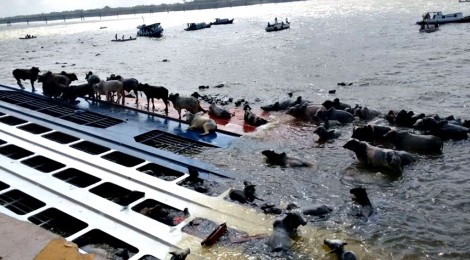 Capitania dos Portos dá prazo para retirada de navio que naufragou no Pará