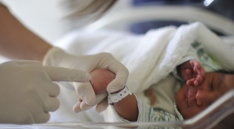 OMS estuda declarar emergência mundial pelo vírus zika