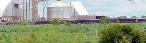 Capacidade de armazenagem de alimentos cresce 0,9%