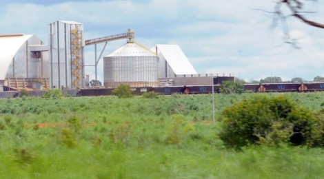 Capacidade de armazenagem de alimentos cresce 0,9%