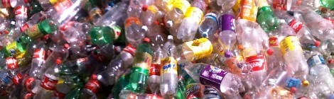 Cientistas descobrem bactéria capaz de desintegrar plástico de garrafa PET