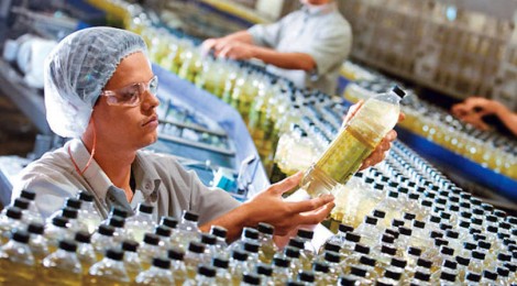 Desemprego ainda deve subir mais em 2017, antes de começar a cair