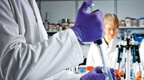 Mais Médicos recebe mais de 10 mil inscrições de brasileiros