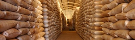 Exportação do agronegócio cresceu 2,9% no semestre, a US$ 49,5 bilhões