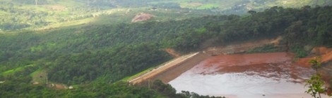 Conversão de multas pode injetar R$ 4,6 bi em projetos ambientais