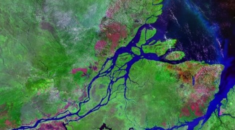 Dreyfus aposta em Marajó para crescer no Arco Norte