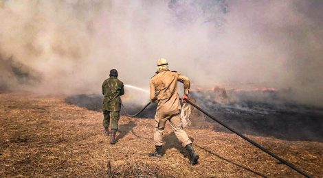 Queimadas: Fogo já destruiu 3,461 milhões de hectares do Pantanal