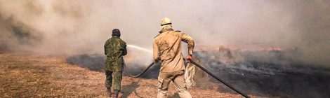 Governo prorroga Operação Verde Brasil 2 na Amazônia Legal