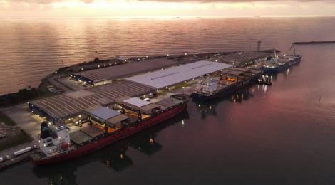 Portocel estabelece recorde mundial no embarque de celulose