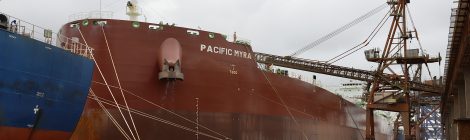 Porto de Paranaguá realiza embarque recorde de farelo de soja