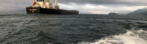 As companhias marítimas registram 37 embarcações inativas que somam uma capacidade de 175.172 TEUs