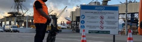 PORTOS DO PARANÁ REFORÇA SEGURANÇA NO TRANSPORTE COM INSPEÇÕES COM CÃES DE FARO
