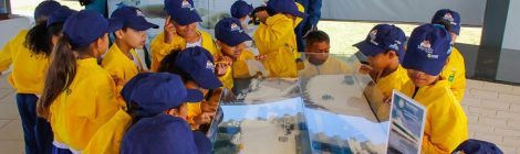 Santos é a primeira cidade do mundo a aprovar lei para o ensino de Cultura Oceânica nas escolas