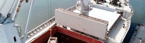 Porto Ponta do Félix embarcará 120 mil toneladas de pellets de madeira até o final de 2022