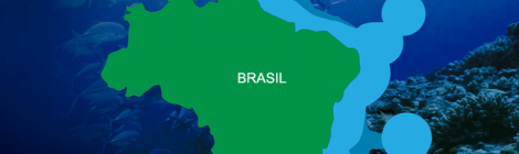Amazônia Azul – As riquezas naturais sob as águas do Atlântico