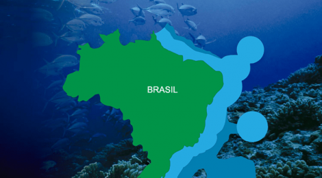 Amazônia Azul – As riquezas naturais sob as águas do Atlântico