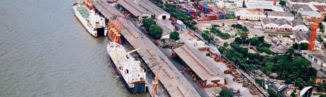 Porto de Belém exporta 15,2 mil toneladas de toras de teca