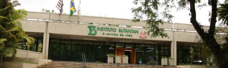 Vacina contra a dengue do Butantan atinge eficácia de 79,6%