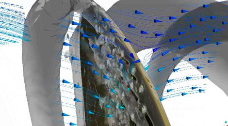 Pressão para reduzir o ruído subaquático irradiado da hélice do navio