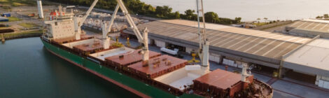 CELULOSE PUXA EXPORTAÇÃO POR VIA MARÍTIMA E FAZ BRASIL BATER RECORDE MUNDIAL
