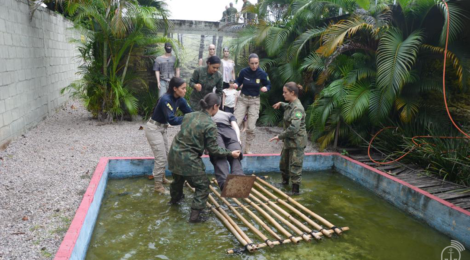 Marinha abre vaga para Curso de Operações de Paz para mulheres