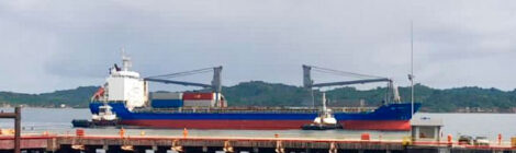 Porto de Aratu recebe navio com equipamentos para planta de hidrogênio e amônia verde