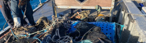 Operação Ágata 2023: Forte impacto contra a pesca ilegal no nordeste