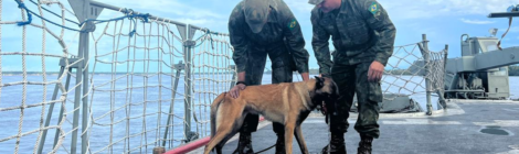 Cão de faro a bordo de navios da Marinha