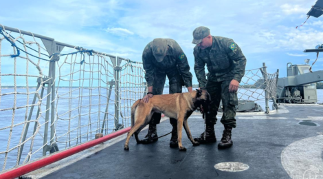Cão de faro a bordo de navios da Marinha