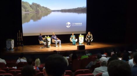 Especialistas em manguezais alertam dos riscos sem preservação do mar