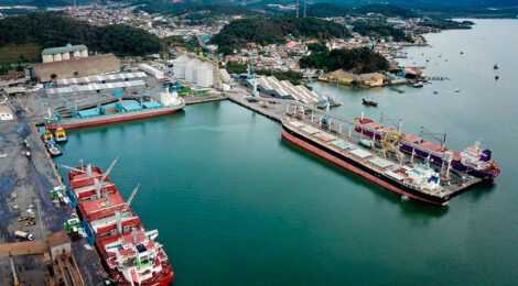 Exportações no Porto de São Francisco do Sul aumentam 60%