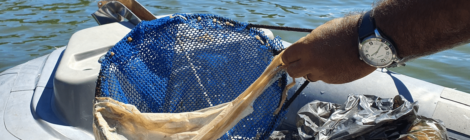 Marinha faz Ação de Combate ao Lixo Marinho