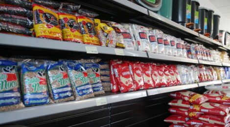 Cesta básica nacional terá 15 alimentos com imposto zerado