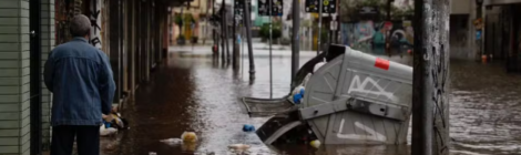 Com água baixando, moradores de Porto Alegre convivem com animais mortos, esgoto, mau cheiro nas ruas