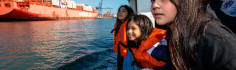 Em cinco anos, Portos do Paraná investe R$100 milhões em programas ambientais e sociais