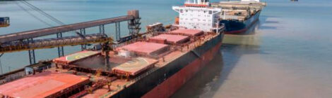 Porto do Itaqui bate recorde em movimentação de soja