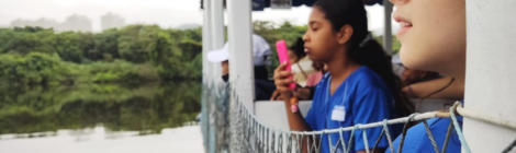 EDUCAÇÃO AMBIENTAL COM PASSEIO EM MANGUEZAIS CARIOCAS